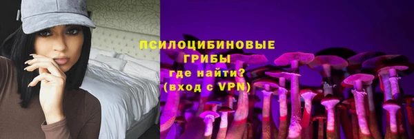 mdpv Богородицк