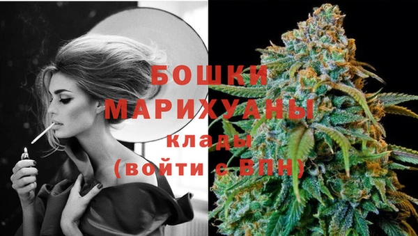 индика Приозерск